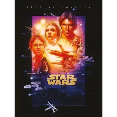 Star Wars Art - A New Hope (60x80cm) Canvas
