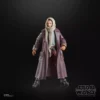 Star Wars The Black Series - Jod Na Nawood - Image 4