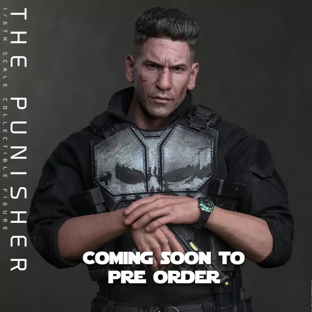 Hot Toys 1/6th - The Punisher